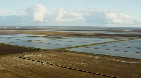 Aerial view of Sutter rice fields Northern California Stock Footage 64793991