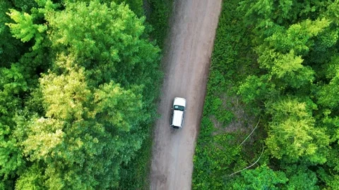 Aerial view of a suv car driving on a dirt road through lush green forest. Видео 341894283