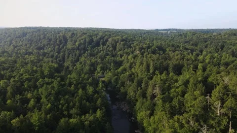 Aerial view of Swallow Falls State Park, Oakland, Maryland, United States. Video stock 249797802