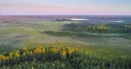 Aerial View Of The Swamp In Natural Reserve Krasny Bor, Belarus Stock Footage