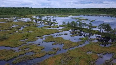 Aerial view of the swamps from the top on a cloudy day in summer Vidéo 111971853