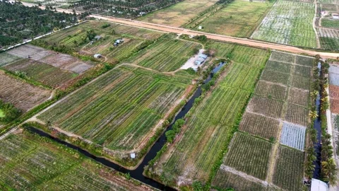 Aerial view sweeps over vast farmland, split by waterways Stock Footage 332601143
