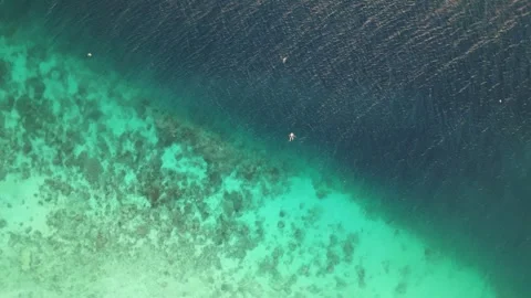 Aerial View of Swimmer Floating Over Coral Reef in Clear Tropical Wate Stock Footage 313456067