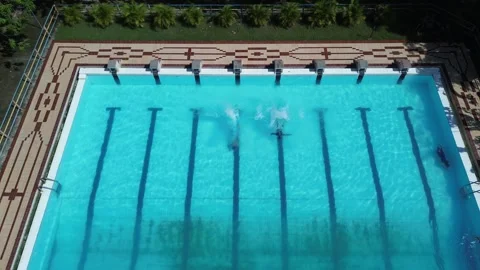 Aerial View of Swimmers Diving into Pool Stock Footage 326090319