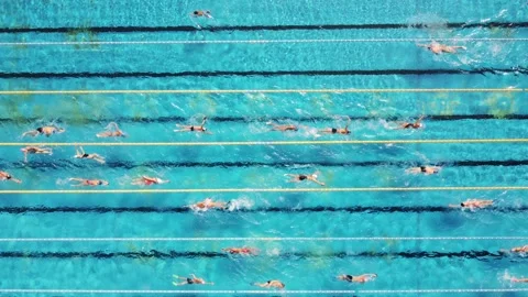 Aerial View of Swimmers in a open swimmi... | Stock Video | Pond5