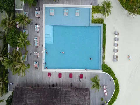 AERIAL view of swimmers in pool Stock Footage 77218803