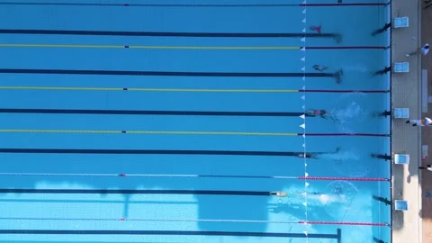 Aerial View of Swimmers Start Diving into Swimming Pool Competition Race Stock Footage 345735820