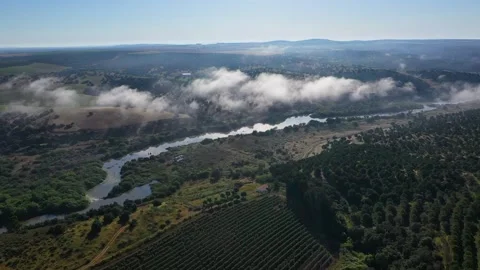 Aerial view of the Tagus river flowing in between the forst hills. Stock Footage 143496602