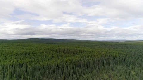 Aerial view of the taiga forest along the Alaska Highway in the Yukon. Видео 153282925