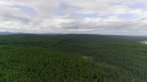 Aerial view of the taiga forest along the Alaska Highway in the Yukon. 動画素材 153282958