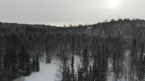 Aerial view of the taiga forests of pine trees.Siberian taiga.Winter forest with Vídeos de archivo 103240665
