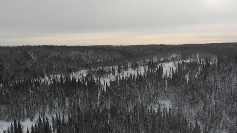 Aerial view of the taiga forests of pine trees.Siberian taiga.Winter forest with Vídeos de archivo 103240764
