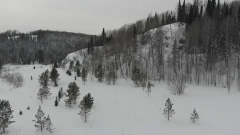 Aerial view of the taiga forests of pine trees.Siberian taiga.Winter forest with Vídeos de archivo 103241081