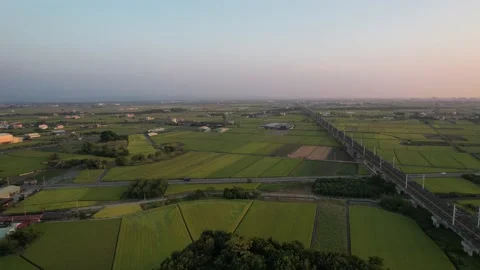 Aerial view of Taiwan rice fields and bullet trains at sunset Stock Footage 165327949