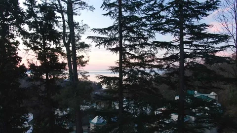 Aerial view takes off over trees with opening panoramic sea views Video stock 125905916