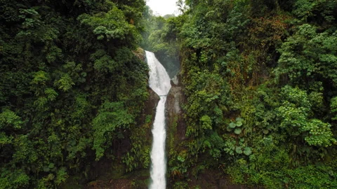 Aerial view of tall double waterfall cascading down cliff in tropical rainforest Video stock 343372973