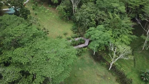 Aerial view of taman botani 스톡 동영상 161376437