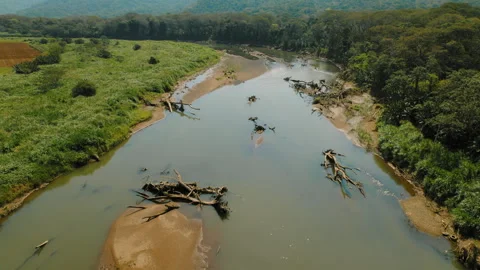 Aerial view of Tarcoles River with fallen trees in rural Costa Rica Stock-Footage 327497457