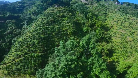 Aerial view of tea garden of tea estates in darjeeling, india.drone video of Stock Footage 168435001