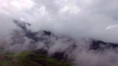 Aerial view of tea mountain with cloudy Stock Footage 75249567