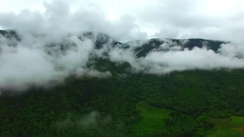 Aerial view of tea mountain with cloudy and green trees Stock Footage 75264300