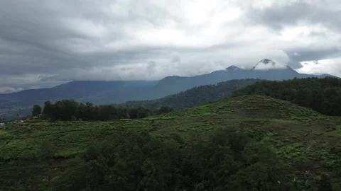 Aerial View of Tea Plantation and Foggy Mountains Stock Footage 343858905