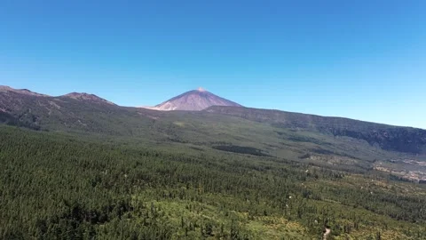 Aerial View of Teide and Pine Forest, Tenerife Spain 스톡 동영상 330271931