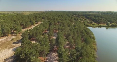 Aerial view of temperate coniferous forest and lake nearby in Bessarabia Stock Footage 107487814