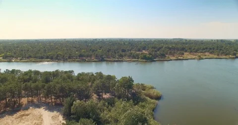 Aerial view of temperate coniferous forest and lake nearby Stock Footage 107657113