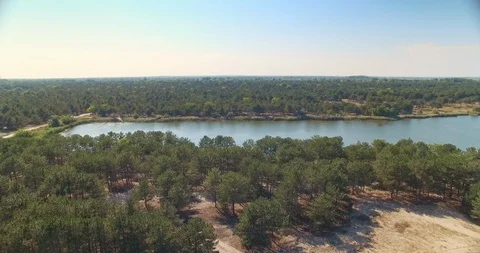 Aerial view of temperate coniferous forest and river Stock Footage 107799583