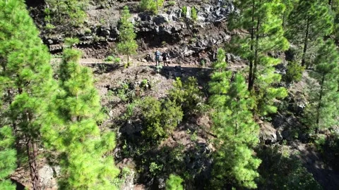 Aerial view of Tenerife 動画素材 246495299