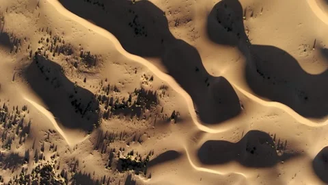 Aerial View of Tengger Desert Dunes with Sparse Vegetation Stock Footage 345369698