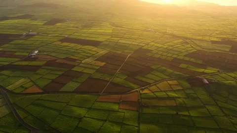 Aerial view of Terceira Island fields, Portugal. Stock Footage 337859340
