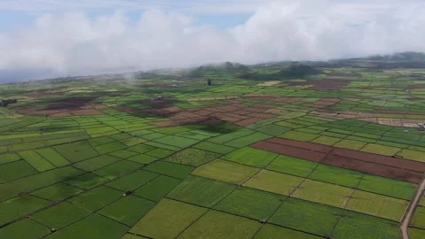Aerial view of Terceira Island fields in the Azores, Portugal. Video stock 337859397