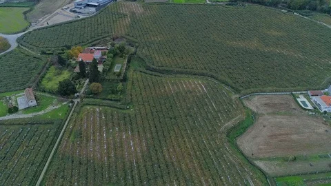 Aerial View of Terraced Fields and Irrigation Lake Video stock 99800752