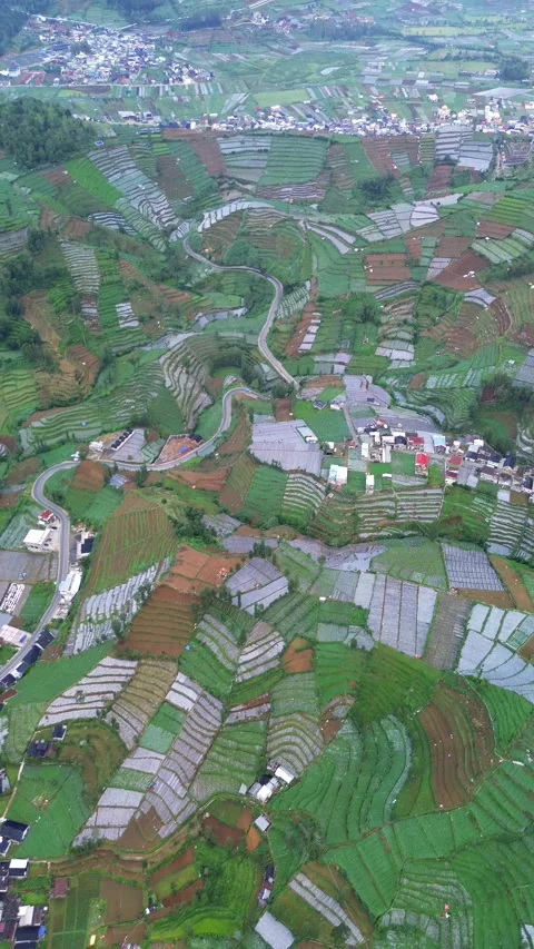 Aerial View of Terraced Fields and Village in Dieng Plateau, Central Java, Stock Footage 310771987