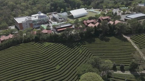 Aerial View of Terraced Fields and Building Complex in South Korea 動画素材 325656228