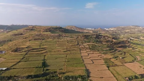 Aerial view of terraced fields and spring greenery in Victoria on Gozo Video stock 337507678