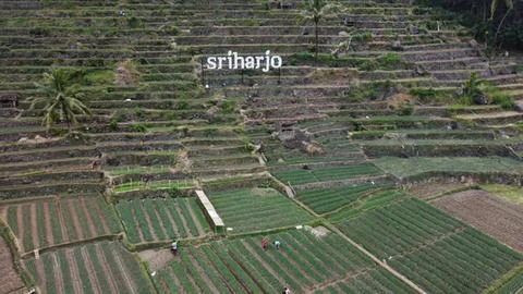 Aerial view of terraced fields in a hilly landscape Stock Photos