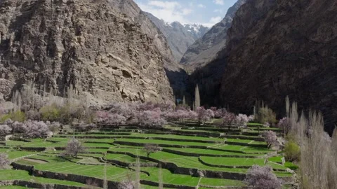 Aerial view of terraced fields in a mountainous valley in Pakistan, showcasing 스톡 동영상 317957617