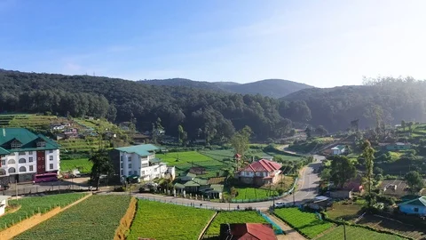 Aerial view of terraced fields in Sri Lanka Stock Footage 99775475