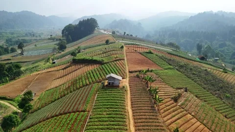 Aerial view of terraced hillside fields in West Java, Indonesia. 스톡 동영상 345608017