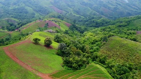 Aerial view of terraced rice fields on green fertile hills. Stock Footage 206028832