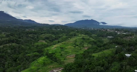 Aerial view of terraced rice fields in a green forest, blending agriculture Stock Footage 276399106