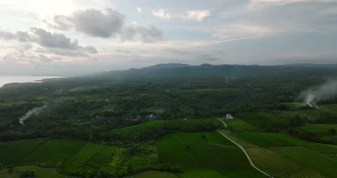 Aerial view of terraced rice fields in a green forest, blending agriculture Stock Footage 276479363