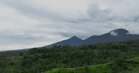 Aerial view of terraced rice fields in a green forest, blending agriculture Video stock 276517217