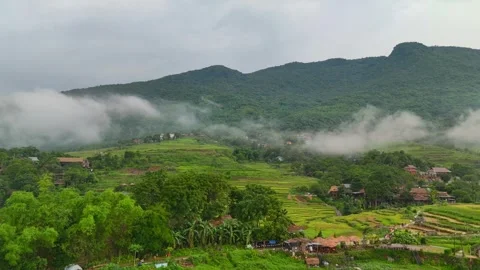 Aerial view of terraced rice fields and mountains in Pu Luong, Thanh Hoa 4K Stock Footage 313665437