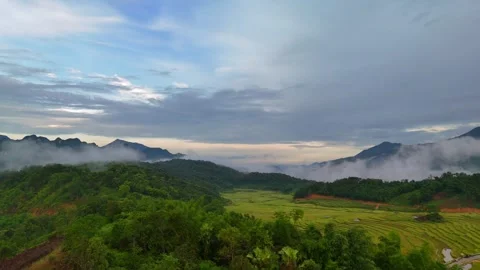 Aerial view of terraced rice fields and mountains in Pu Luong, Thanh Hoa 4K Stock Footage 313665449
