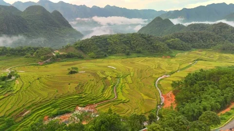 Aerial view of terraced rice fields and mountains in Pu Luong, Thanh Hoa 4K 스톡 동영상 313665529