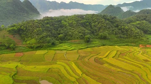 Aerial view of terraced rice fields and mountains in Pu Luong, Thanh Hoa 4K Stock Footage 313665605